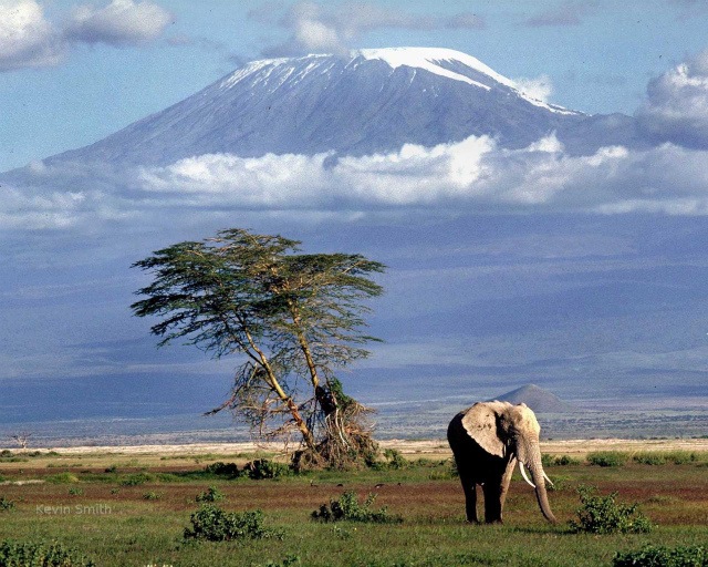 plains_below_kilimanjaro_1280x1024.jpg